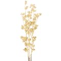 Floristik21 Künstlicher Beerenzweig Kunststoff Gold 70 cm 3er-Set Innenbereich
