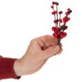 Künstlicher Zweig mit roten Beeren 15 cm, 6er-Set | Floristik21.de