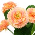 Floristik21 Gänseblümchen künstlich Pfirsichfarben 24cm 2St
