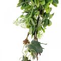 Floristik21 Blättergirlande Deko Girlande Kunstpflanze Grün 180cm