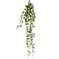 Floristik21 Hängende Grünpflanze künstlich Blatthänger 5 Stränge 58cm