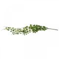 Floristik21 Hängende Grünpflanze künstlich Blatthänger 5 Stränge 58cm