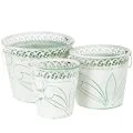 Floristik21 Blech-Kübel mit Prägung, Pflanzgefäß mit Henkeln Weiß, Grün Shabby Chic H22/19,5/17,5cm Ø25,5/20,5/15,5cm 3er-Set