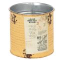 Floristik21 Blechdose Deko Dose Apricot Metall Pflanztopf Ø11cm H10,5cm