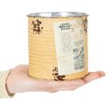 Blechdose Deko Dose Apricot Metall Pflanztopf Ø11cm H10,5cm | Floristik21.de