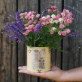 Blechdose Deko Dose Apricot Metall Pflanztopf Ø11cm H10,5cm | Floristik21.de