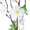 Floristik21 Blütengirlande Blumengirlande künstlich Weiße Blüten 160cm