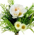 Floristik21 Blütenstrauß mit Bellis Weiß 20cm