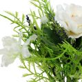 Floristik21 Blütenstrauß mit Bellis Weiß 20cm