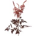 Floristik21 Kunstblume Astilbe langstielig 80cm Rotbraun Kunststoff