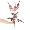 Kunstblume Astilbe langstielig 80cm Rotbraun Kunststoff | Floristik21.de