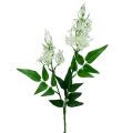 Floristik21 Blütenzweig Weiß 78cm 3St