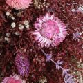 Trockenblumen Kranz Weinrot Rosa Ø25cm – Rustikaler Deko-Kranz für jeden Anlass | Floristik21.de