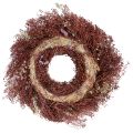 Trockenblumen Kranz Weinrot Rosa Ø25cm – Rustikaler Deko-Kranz für jeden Anlass | Floristik21.de