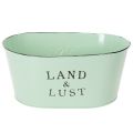 Floristik21 Blumenschale oval Mint Pflanzkübel Metall Vintage 27×18cm H12cm