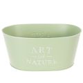 Floristik21 Blumenschale oval Zink Mintgrün 27×18cm H12,5cm