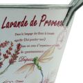 Floristik21 Blumenschale mit Griffen oval Metall Lavendel 32×15×15cm