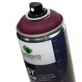 Floristik21 OASIS® Easy Colour Spray, Lack-Spray Erika 400ml