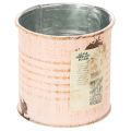 Blumentopf Deko Dose Lachs