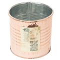 Floristik21 Blumentopf Deko Dose Lachs Metall Kräuterdose Ø8cm H7,5cm