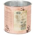 Floristik21 Blumentopf Deko Dose Lachs Metall Pflanzeimer Ø15,5cm H15cm