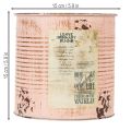 Blumentopf Deko Dose Lachs