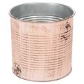 Blumentopf Deko Dose Lachs