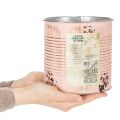 Blumentopf Deko Dose Lachs Metall Pflanzeimer Ø15,5cm H15cm | Floristik21.de