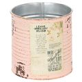 Floristik21 Blumentopf Deko Dose Lachs Metall Sommerdeko Ø11cm H10,5cm