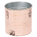 Blumentopf Deko Dose Lachs