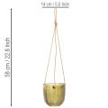 Blumentopf Glas Windlicht zum Hängen Lila Grün 14cm 2St | Floristik21.de