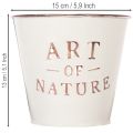 Blumentopf Zink Creme Ø15cm H13,5cm | Floristik21.de