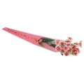 Floristik21 Blumentüte mit Herzen Rosa Für eine Rose 50cm 50St