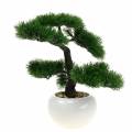 Floristik21 Bonsai Baum im Keramiktopf Mädchenkiefer Künstlich H36cm