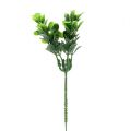 Floristik21 Buchsbaum Zweig grün L20cm 12St
