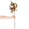 Künstliche Buntnessel mit roten Blättern, 20 cm, Kunststoff, Innenbereich | Floristik21.de