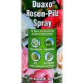 Floristik21 COMPO Duaxo® Rosen-Pilz Spray Fungizid 400ml