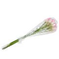 Floristik21 Calla Deko-Blume Rosa 57cm 12St
