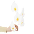 Kunstblume Calla Weiß mit gelbem Stempel 35cm 10 Stück | Floristik21.de