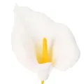 Kunstblume Calla Weiß mit