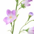 Floristik21 Künstliche Glockenblume Campanula Violett Weiß 66cm