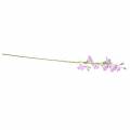 Floristik21 Künstliche Glockenblume Campanula Violett Weiß 66cm