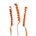 Floristik21 Cane Spring mini Orange 25St