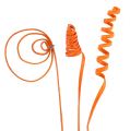 Floristik21 Cane Sortiment mini orange 75St