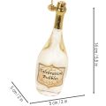 Sektflasche und Sektglas Anhänger aus Glas 14cm klar/gold 2-teilig | Floristik21.de
