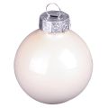 Glas-Christbaumkugeln Berry Mix Ø5cm 24er-Set in Rosa, Beige & Creme | Floristik21.de