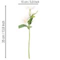 Kunstblumen-Bund Christrose Kunststoff 35cm Weiß-Rosa Indoor 6 Stück | Floristik21.de
