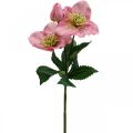 Christrose, Lenzrose, Nieswurz, Kunstpflanzen Rosa L34cm 4St