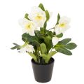 Floristik21 Christrose künstlich Topfpflanze 34 cm Weiß Kunststoff