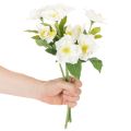 Kunstblume Christrose Bund 36cm Weiß Kunststoff Innenbereich | Floristik21.de